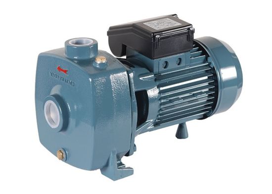 Conforto Cb200M 1.5Kw 220V